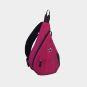 swa2433b-raspberry-front