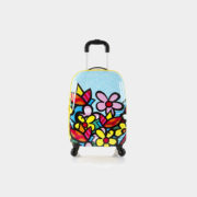 BTO-HSRL-TSP-08_02_1024x1024