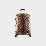 Leopard_Panthera_26_front_219e853d-8744-41bd-9df9-2f8cf7cdf9a8_1024x1024