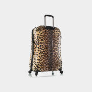 Leopard_Panthera_30_backqrt_1024x1024