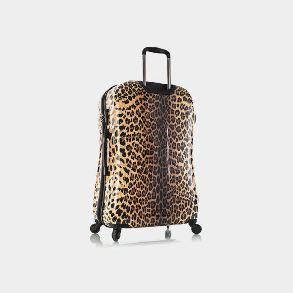 Leopard_Panthera_30_backqrt_1024x1024