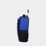 al29820-cobalt-side
