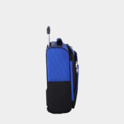 al29820-cobalt-side2