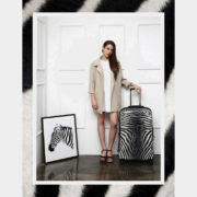 zebra_equus_-_750_2f92ad23-66b7-4dd8-884a-fed9ac7b46f9_1024x1024
