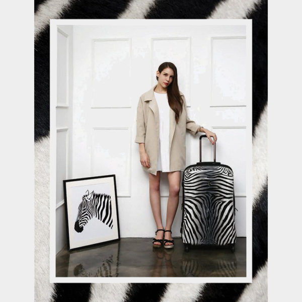zebra_equus_-_750_8e871dd9-cc36-4685-b5fc-4d444c160290_1024x1024