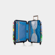 BrittoPalm_21_open_68f89d3a-74d5-439a-801b-16c2749b02bf_1024x1024