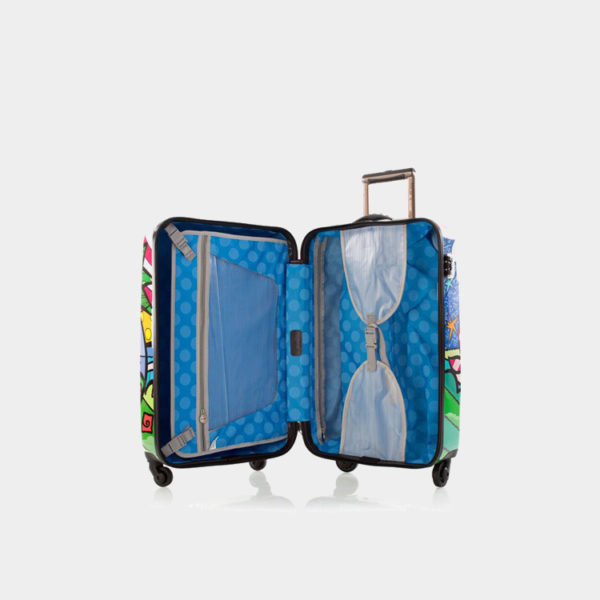 BrittoPalm_21_open_68f89d3a-74d5-439a-801b-16c2749b02bf_1024x1024