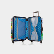 BrittoPalm_26_open_47530893-7ec5-4d25-9a38-9aa2645d7d05_1024x1024