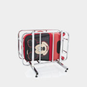 Disney_Clubhouse_21_cage_1024x1024