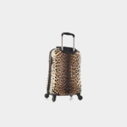 Leopard_Panthera_21_backqrt_1024x1024