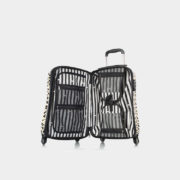 Leopard_Panthera_21_open_1024x1024