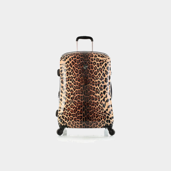 Leopard_Panthera_26_front_ef4f0396-dc6f-49b7-8a8e-6902e66defcb_1024x1024