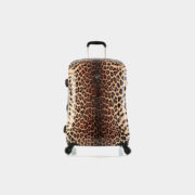 Leopard_Panthera_26_front_nohandle_1024x1024