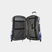 PurpleAmethyst_30_open_1024x1024