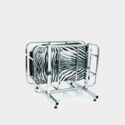 Zebra_Equus_21_cage_1024x1024