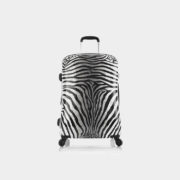 Zebra_Equus_26_front_1024x1024