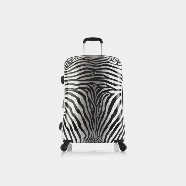 Zebra_Equus_26_front_1024x1024