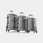 Zebra_Equus_set_1024x1024