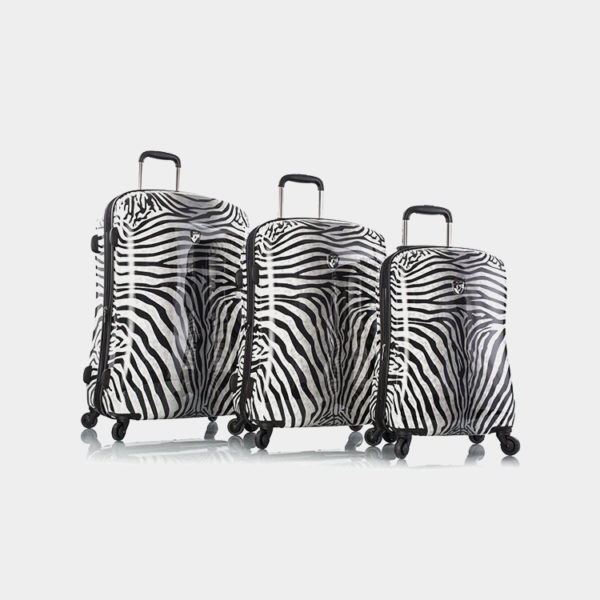 Zebra_Equus_set_1024x1024