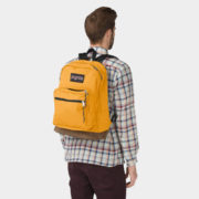 canvas1