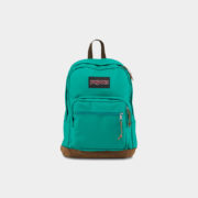 canvas1