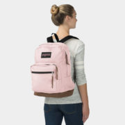canvas1