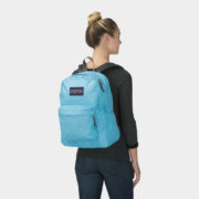 canvas1