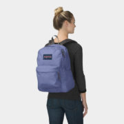 canvas1