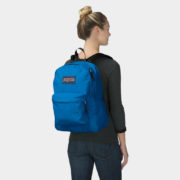 canvas1