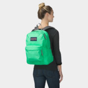 canvas1