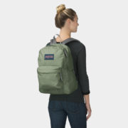 canvas1