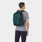 canvas1