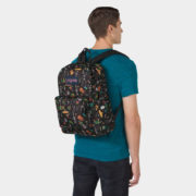 canvas1