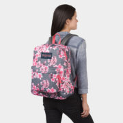 canvas1