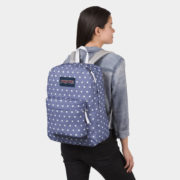 canvas1