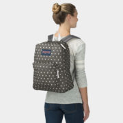 canvas1