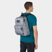 canvas1