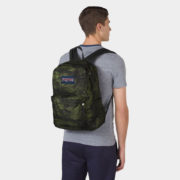 canvas1