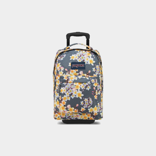 canvas1