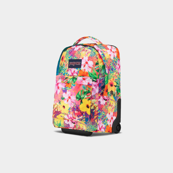 canvas1