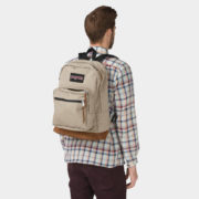 canvas1