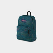 canvas2