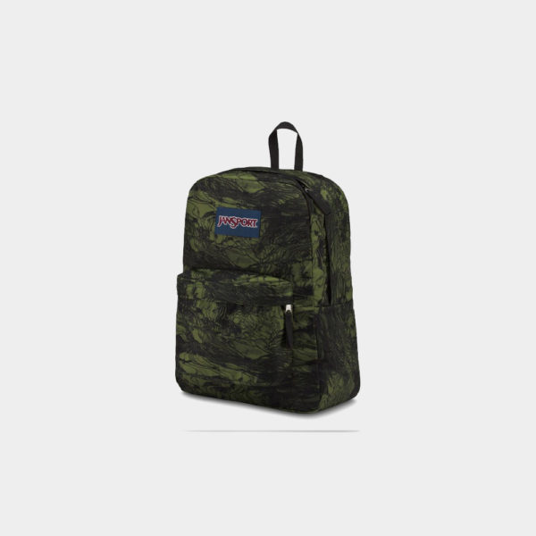 canvas2