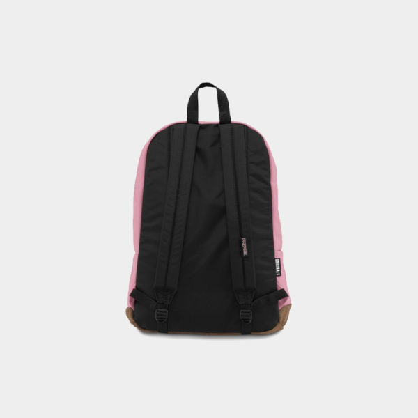 canvas3