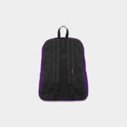 canvas3