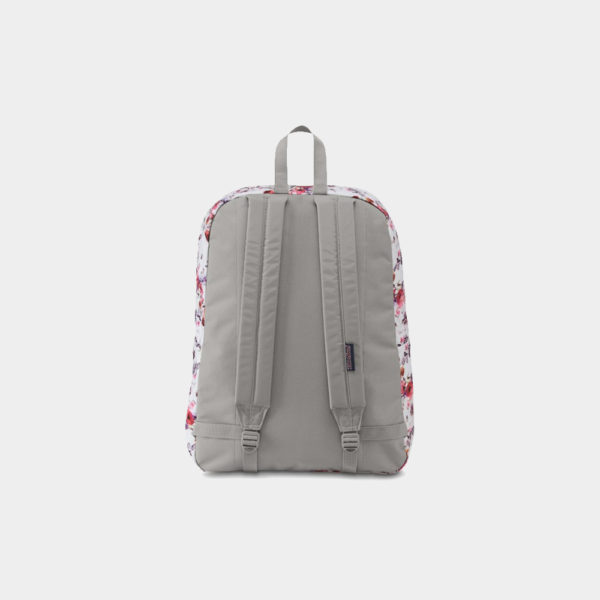 canvas3