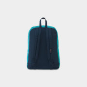 canvas3