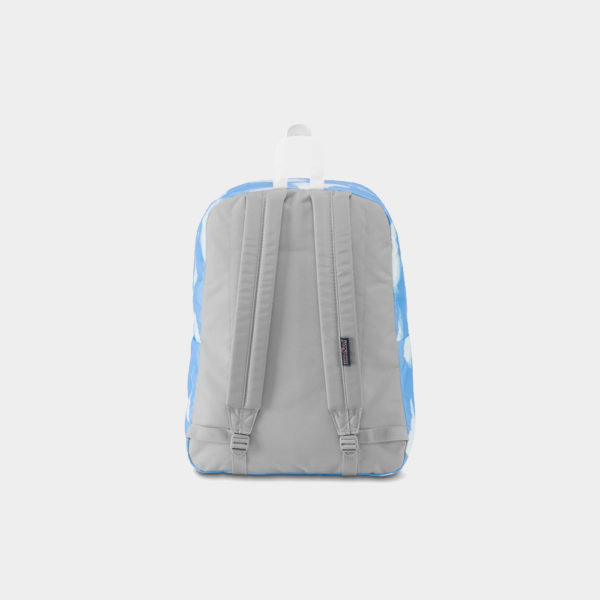 canvas3