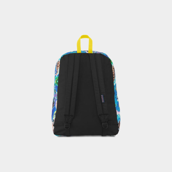 canvas3
