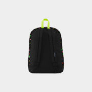 canvas3